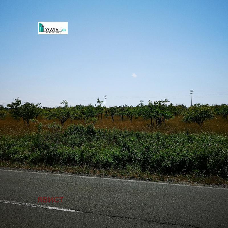 ������� ������ | Imot.bg � ����������� 5