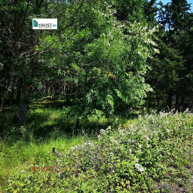 ������� ������ | Imot.bg � ����������� 7