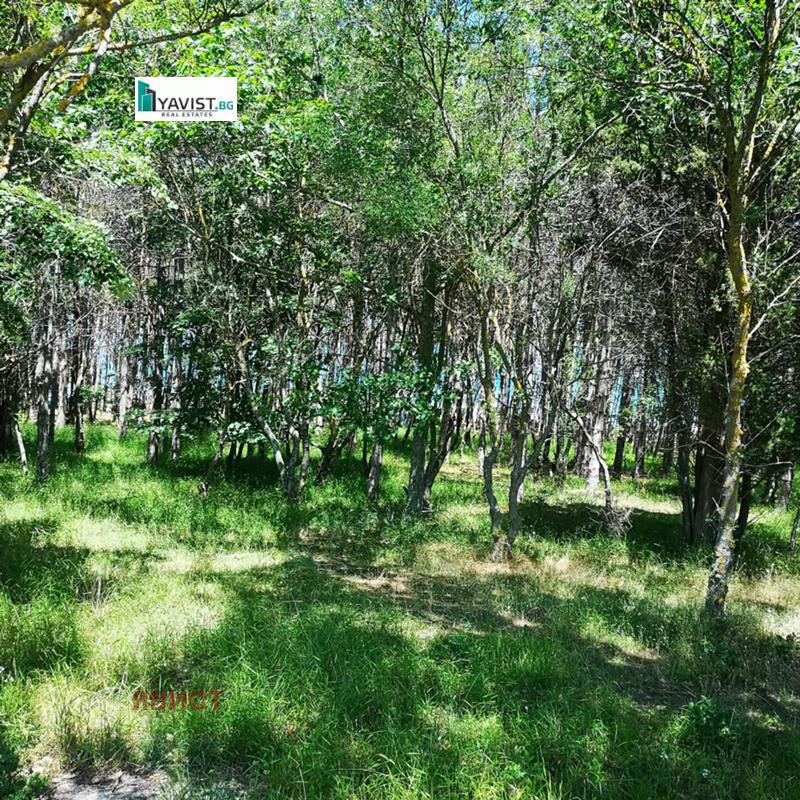 ������� ������ | Imot.bg � ����������� 1