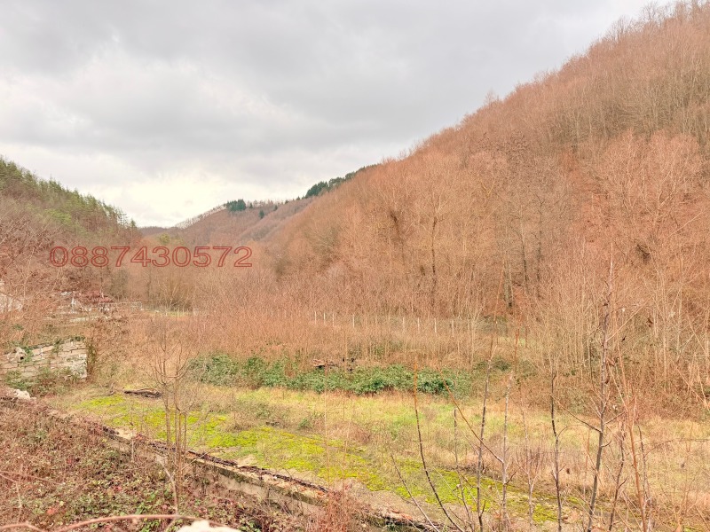Продава ПАРЦЕЛ, гр. Златоград, област Смолян, снимка 3 - Парцели - 53072017