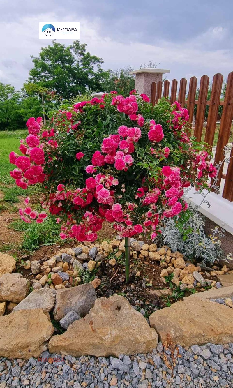 Продава ПАРЦЕЛ, с. Арбанаси, област Велико Търново, снимка 4 - Парцели - 53239886