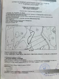 Продава ЗЕМЕДЕЛСКА ЗЕМЯ, с. Долище, област Варна, снимка 6