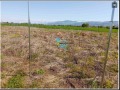 Продава ПАРЦЕЛ, област Пловдив, с. Крумово • 62000 € • 52011929 — Holmes.bg