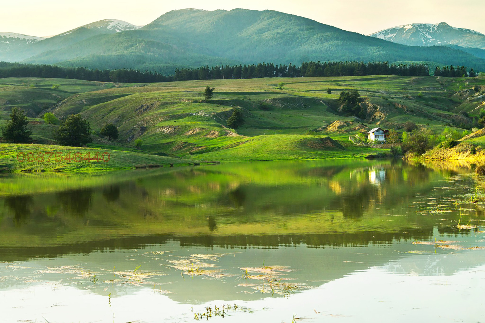 ������� ������ | Imot.bg � ����������� 6