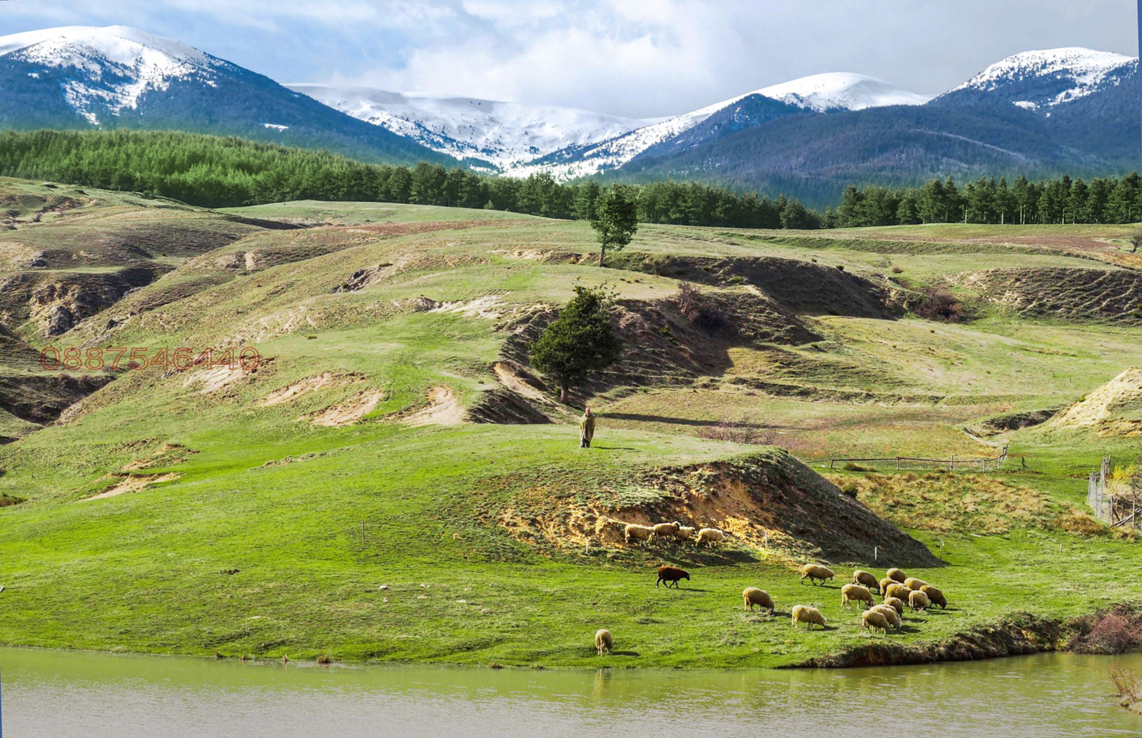 ������� ������ | Imot.bg � ����������� 5