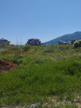 ������� ������ | Imot.bg � ����� ������ 8