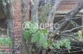 Продава КЪЩА, област Бургас, с. Житосвят • 19990 € • 51906220 — Holmes.bg