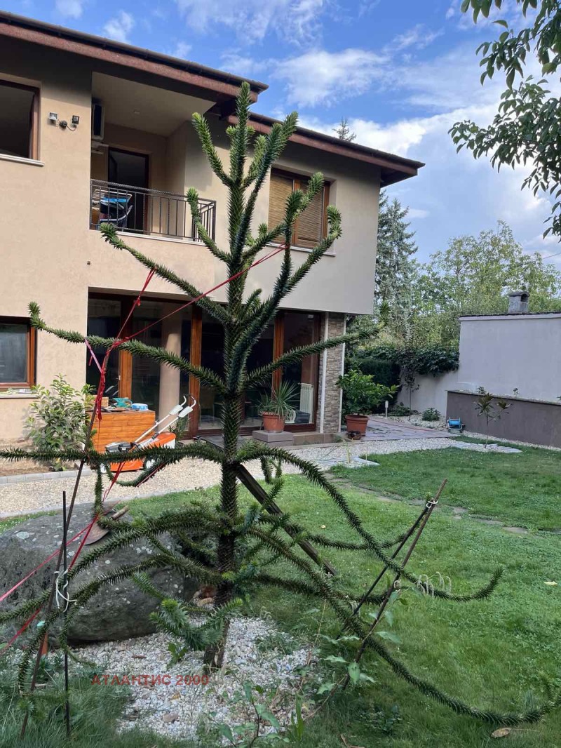 In vendita  Casa Sofia , Boiana , 432 mq | 46745589 - Immagine [15]