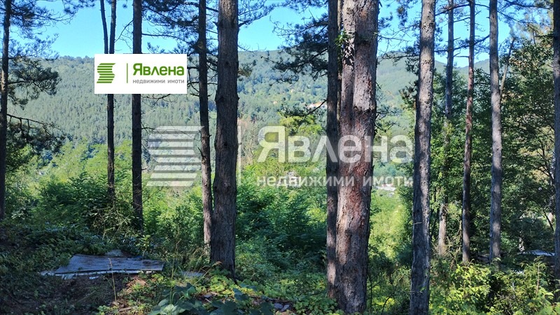 Продава ПАРЦЕЛ, с. Владо Тричков, област София област, снимка 7 - Парцели - 54842009