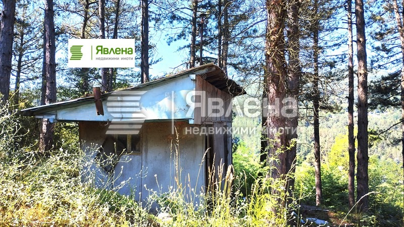 Продава ПАРЦЕЛ, с. Владо Тричков, област София област, снимка 3 - Парцели - 54842009