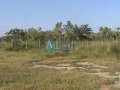 Продава ПАРЦЕЛ, Гърция, Халкидики • 190000 € • 95987012 — Holmes.bg