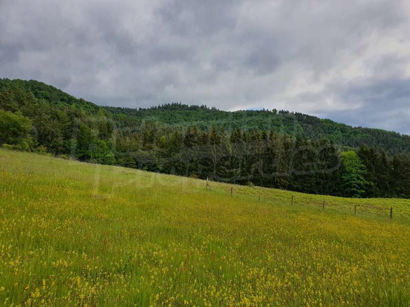 Продава ПАРЦЕЛ | Imot.bg — изображение 5