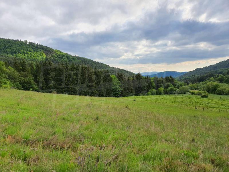 Продава ПАРЦЕЛ | Imot.bg — изображение 7