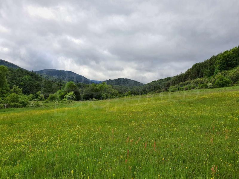 Продава ПАРЦЕЛ | Imot.bg — изображение 10