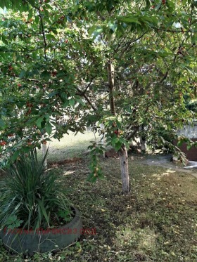 ����� ������� ����,�. �����, ������ �����>