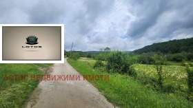 ����� ������� ����,�. �������, ������ ������ �������