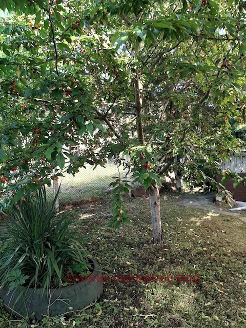 Продава КЪЩА, с. Габер, област София област, снимка 3 - Къщи - 53201324