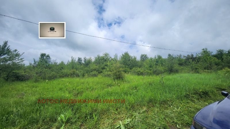 Продава КЪЩА, с. Войнежа, област Велико Търново, снимка 2 - Къщи - 53246489