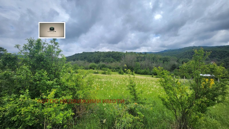 Продава КЪЩА, с. Войнежа, област Велико Търново, снимка 4 - Къщи - 53246489