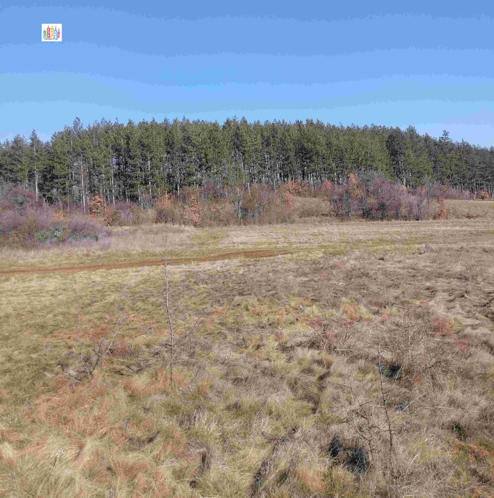 ������� ������ | Imot.bg � ����������� 11