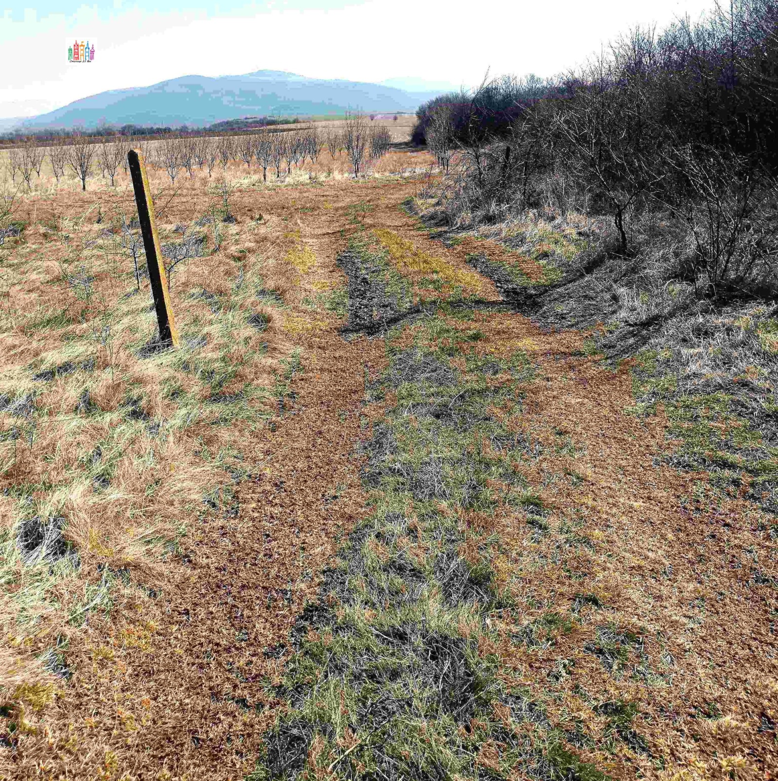 ������� ������ | Imot.bg � ����������� 8