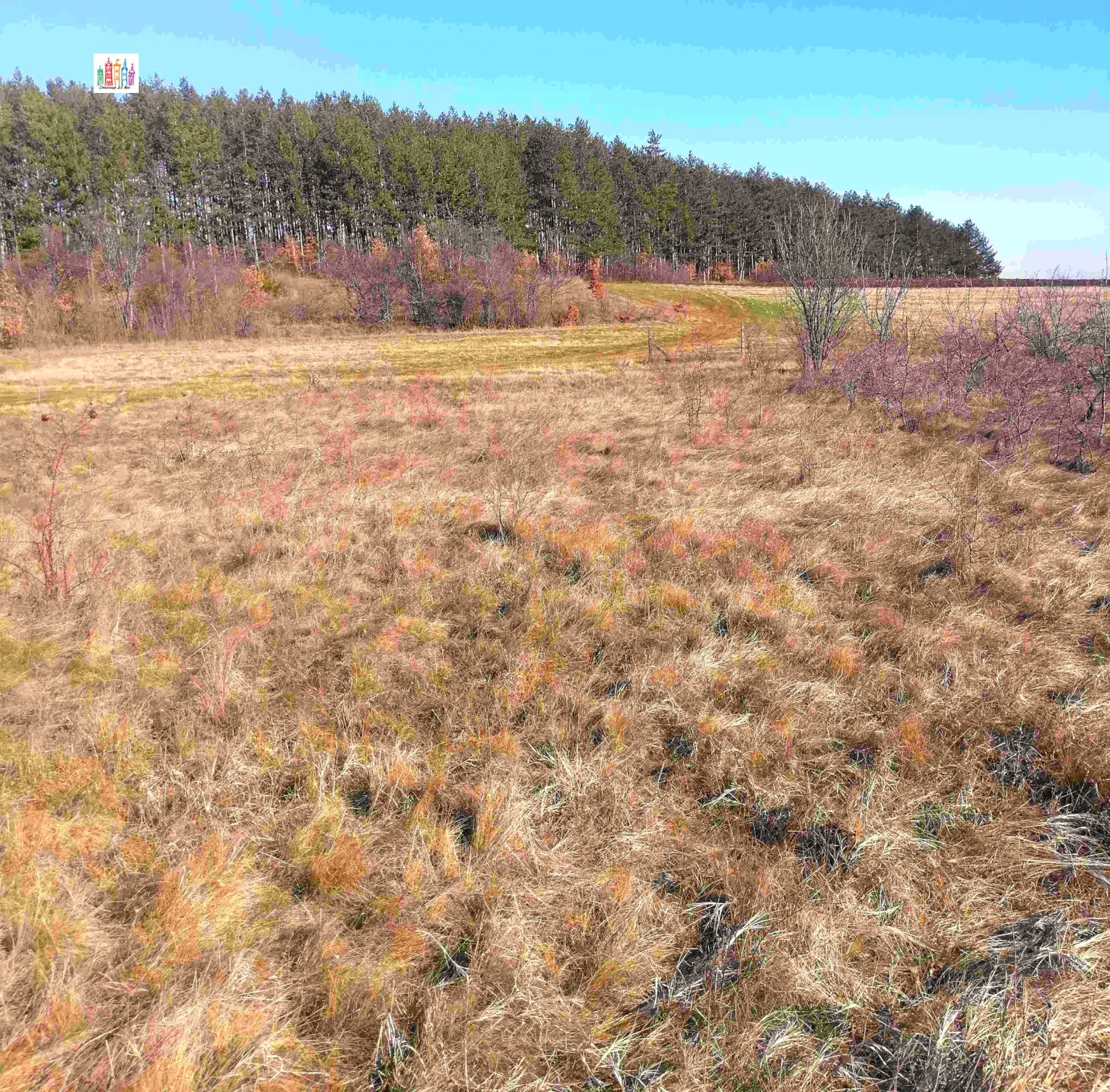 ������� ������ | Imot.bg � ����������� 7