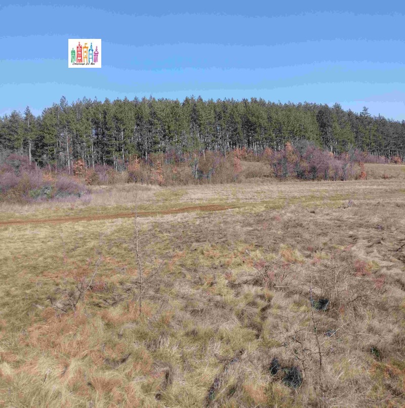 Продава ПАРЦЕЛ, с. Лесковец, област Перник, снимка 10 - Парцели - 53172395