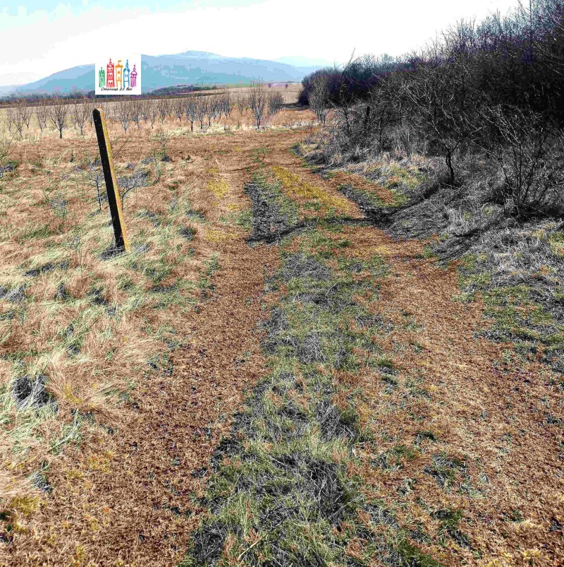 Продава ПАРЦЕЛ, с. Лесковец, област Перник, снимка 7 - Парцели - 53172395