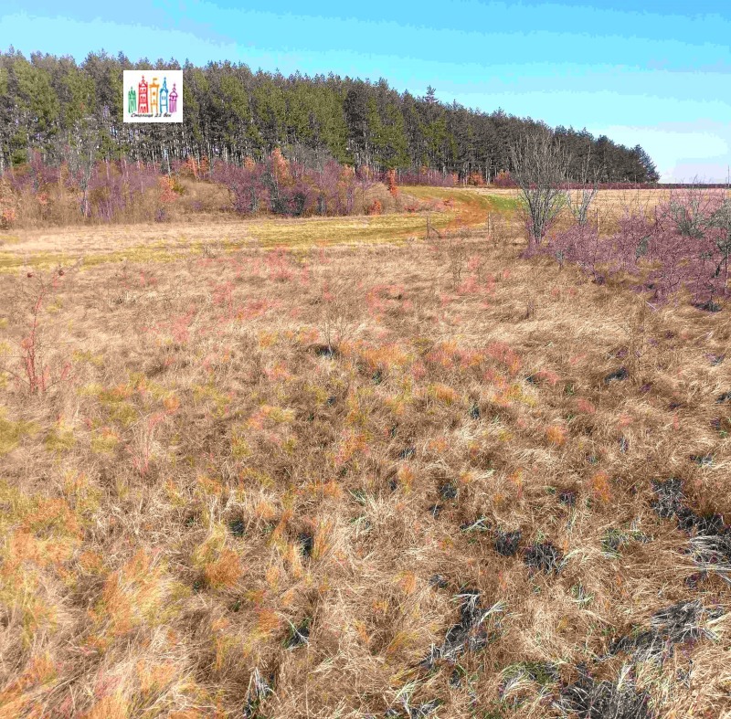 Продава ПАРЦЕЛ, с. Лесковец, област Перник, снимка 6 - Парцели - 53172395