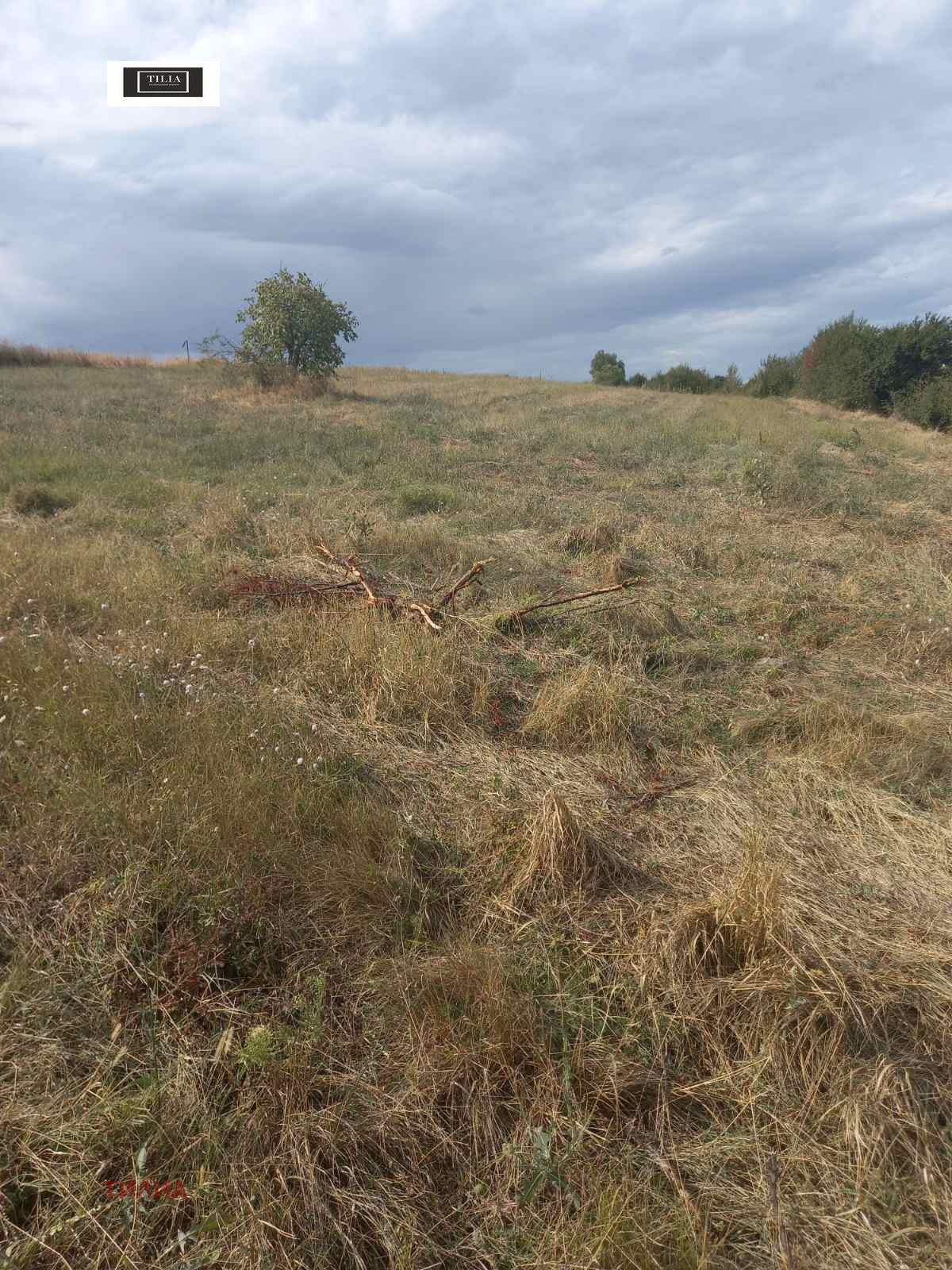 Продава ПАРЦЕЛ, гр. София, гр. Банкя, снимка 4 - Парцели - 53867305