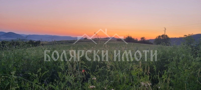 Продаја  Плот регион Велико Тарново , Присово , 3500 м2 | 61686999 - слика [3]