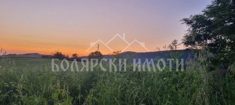 Продаја  Плот регион Велико Тарново , Присово , 3500 м2 | 61686999 - слика [4]