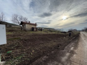 Hus Stefanovo, region Pernik 2