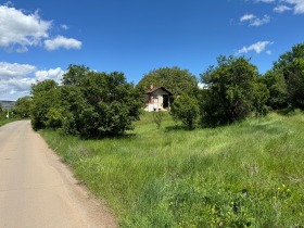 Hus Stefanovo, region Pernik 7