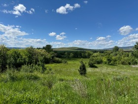 Hus Stefanovo, region Pernik 14