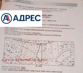 ����� ������� ������,���� �����, ���������� ����