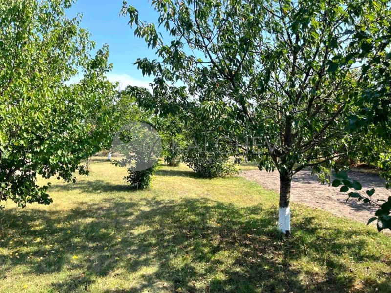 Till salu  Hus region Dobrich , Baltjik , 85 kvm | 64475965 - bild [15]