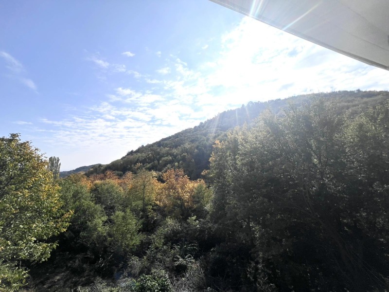 Продава КЪЩА, с. Руен, област Пловдив, снимка 10 - Къщи - 52072425