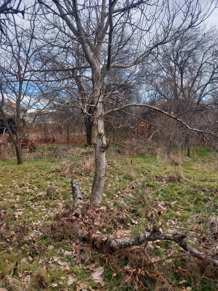 Продава КЪЩА, с. Златосел, област Пловдив, снимка 4 - Къщи - 54597682