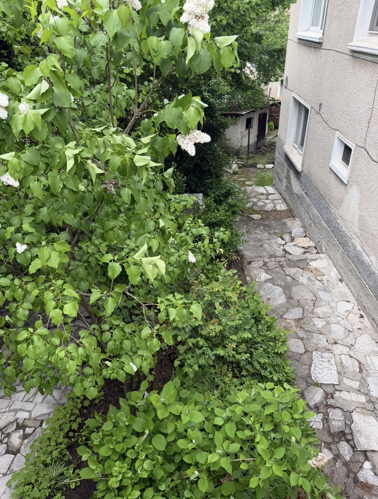 Продава КЪЩА, гр. Велинград, област Пазарджик, снимка 2 - Къщи - 54580767