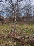 Продава КЪЩА, с. Златосел, област Пловдив, снимка 4