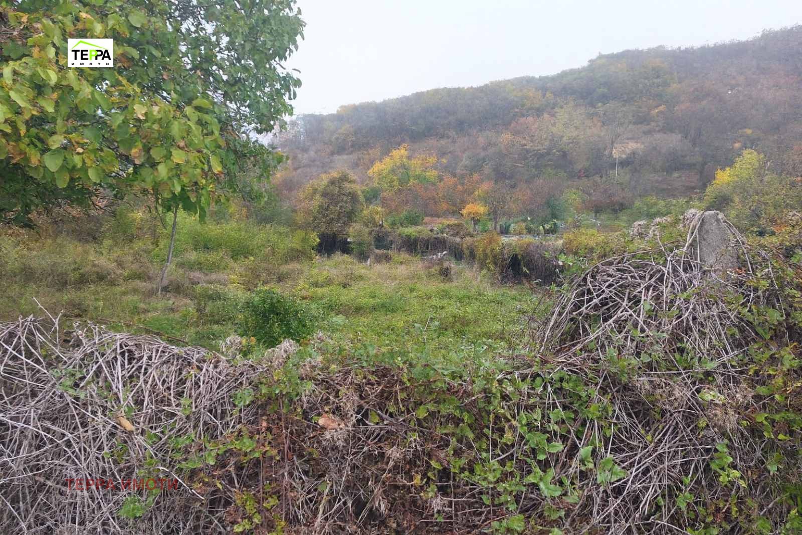 ������� ������ | Imot.bg � ����������� 1