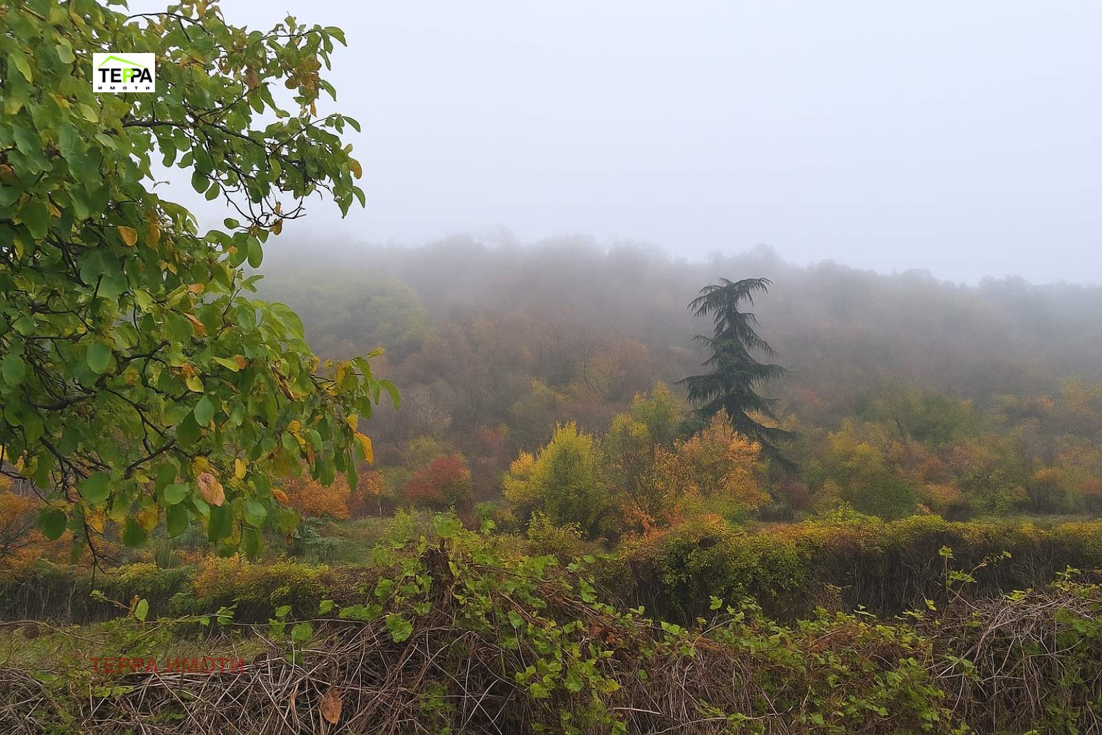 ������� ������ | Imot.bg � ����������� 2