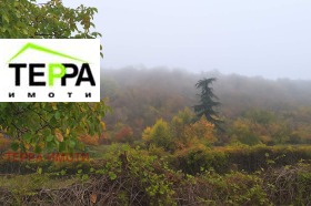 ������� ������ | Imot.bg � ����� ������ 2