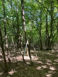 Продава ПАРЦЕЛ, с. Горна Малина, област София област, снимка 17