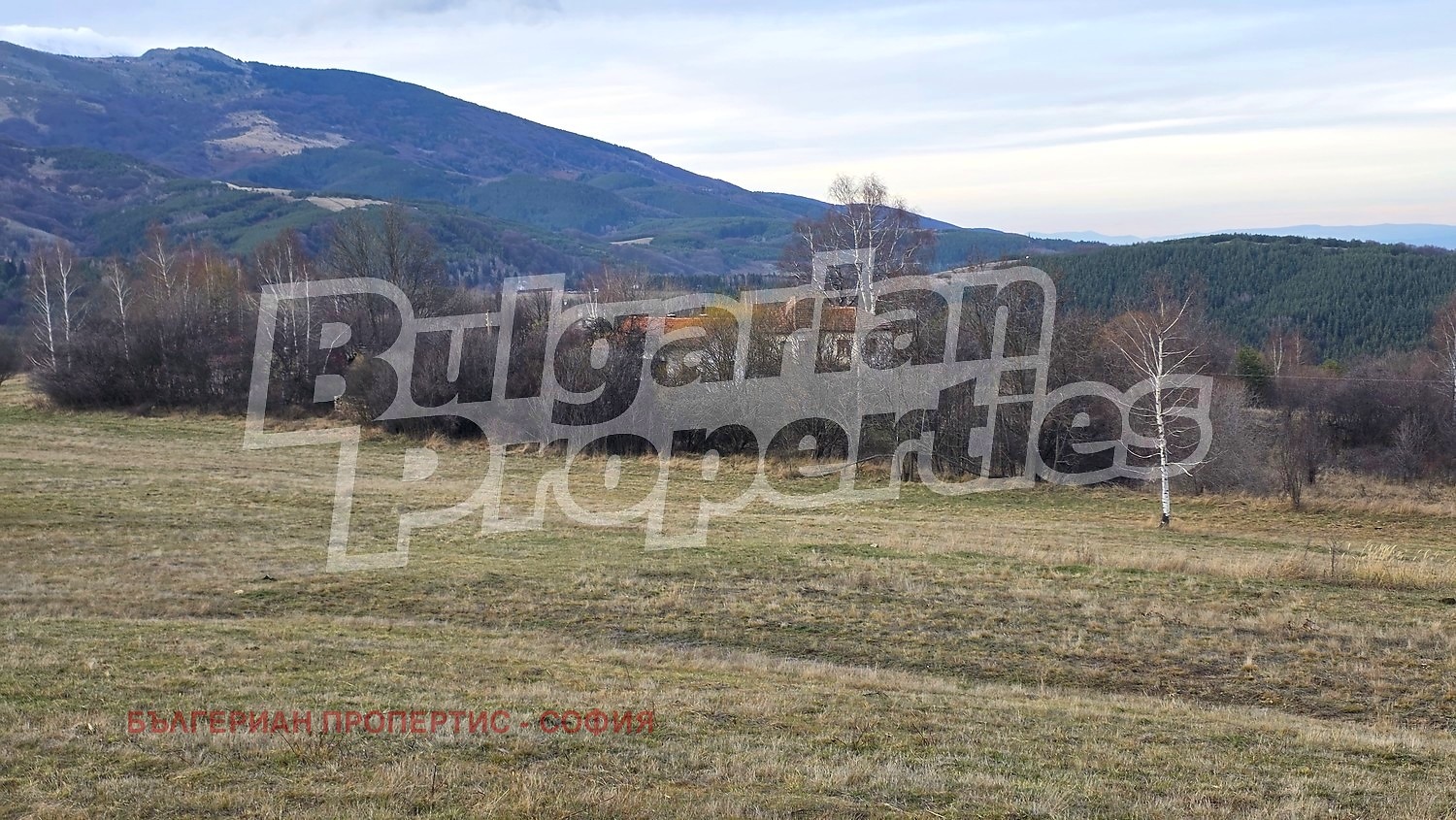 ������� ������ | Imot.bg � ����������� 7