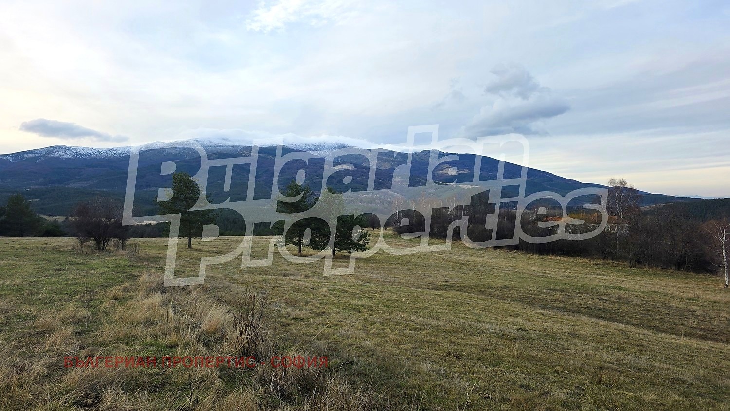 ������� ������ | Imot.bg � ����������� 12