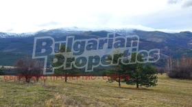 ������ ������� ������