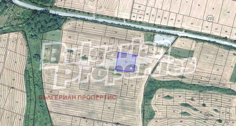 Продава  Парцел област София , с. Нови хан , 3221 кв.м | 57001104 - изображение [9]