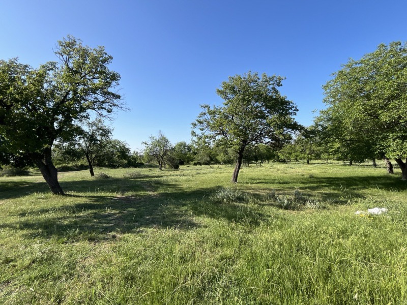 Продава  Парцел град Хасково , Промишлена зона - Юг , 915 кв.м | 34808719